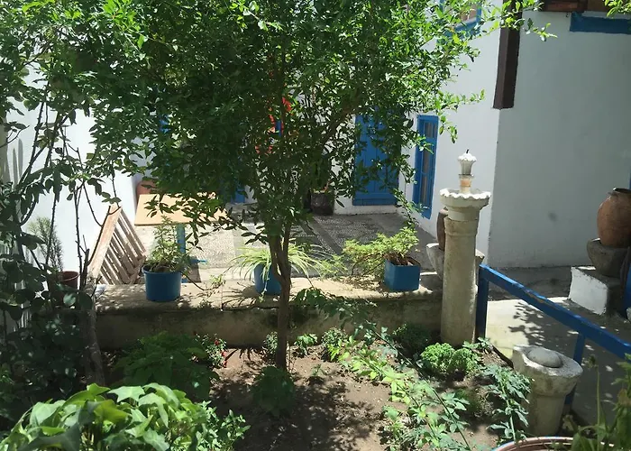 بيت شباب بنسيون إزمير