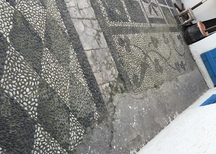 بيت شباب بنسيون *