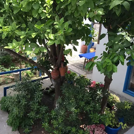 Fındık Pansıyon